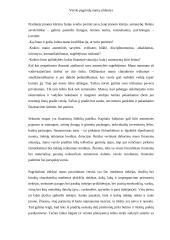 Verslo kūrimo pagrindai 5 puslapis