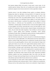 Verslo kūrimo pagrindai 6 puslapis