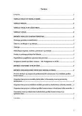 Verslo planas: automobilių kėbulų remontas bei nestandartinių sunkvežimių kėbulų gamyba TŪB "Žaibas" 2 puslapis