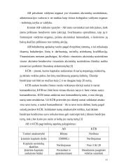 Verslo planas: automobilių kėbulų remontas bei nestandartinių sunkvežimių kėbulų gamyba TŪB "Žaibas" 11 puslapis