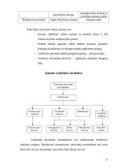 Verslo planas: automobilių kėbulų remontas bei nestandartinių sunkvežimių kėbulų gamyba TŪB "Žaibas" 12 puslapis