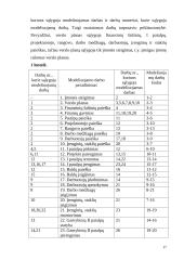Verslo planas: automobilių kėbulų remontas bei nestandartinių sunkvežimių kėbulų gamyba TŪB "Žaibas" 17 puslapis