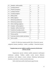 Verslo planas: automobilių kėbulų remontas bei nestandartinių sunkvežimių kėbulų gamyba TŪB "Žaibas" 19 puslapis