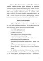 Verslo planas: automobilių kėbulų remontas bei nestandartinių sunkvežimių kėbulų gamyba TŪB "Žaibas" 5 puslapis