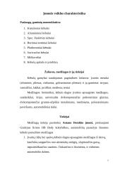 Verslo planas: automobilių kėbulų remontas bei nestandartinių sunkvežimių kėbulų gamyba TŪB "Žaibas" 7 puslapis