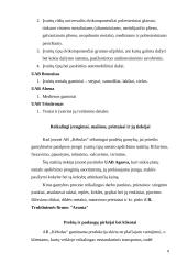 Verslo planas: automobilių kėbulų remontas bei nestandartinių sunkvežimių kėbulų gamyba TŪB "Žaibas" 8 puslapis