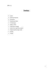 Verslo planas: batų taisykla IĮ "Aulinis" 2 puslapis