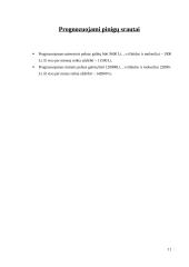 Verslo planas: batų taisykla IĮ "Aulinis" 11 puslapis