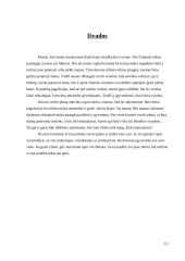 Verslo planas: batų taisykla IĮ "Aulinis" 12 puslapis