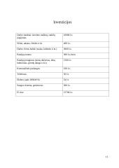 Verslo planas: batų taisykla IĮ "Aulinis" 13 puslapis