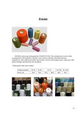 Verslo planas: batų taisykla IĮ "Aulinis" 14 puslapis