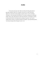 Verslo planas: batų taisykla IĮ "Aulinis" 3 puslapis