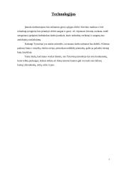 Verslo planas: batų taisykla IĮ "Aulinis" 7 puslapis