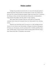 Verslo planas: batų taisykla IĮ "Aulinis" 8 puslapis