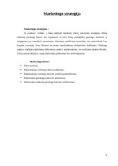 Verslo planas: batų taisykla IĮ "Aulinis" 9 puslapis