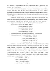 Verslo planas: centrinio šildymo katilų gamyba "Kaitra–150" 14 puslapis