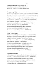 Verslo planas: centrinio šildymo katilų gamyba "Kaitra–150" 19 puslapis