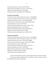 Verslo planas: centrinio šildymo katilų gamyba "Kaitra–150" 20 puslapis