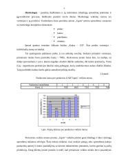 Verslo planas: centrinio šildymo katilų gamyba "Kaitra–150" 4 puslapis