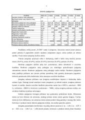 Verslo planas: centrinio šildymo katilų gamyba "Kaitra–150" 6 puslapis