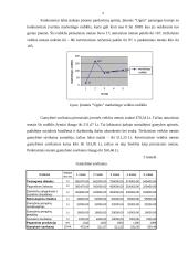 Verslo planas: centrinio šildymo katilų gamyba "Kaitra–150" 9 puslapis
