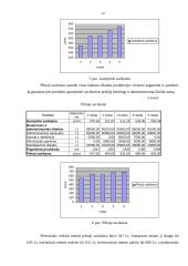 Verslo planas: centrinio šildymo katilų gamyba "Kaitra–150" 10 puslapis