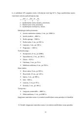 Verslo planas: geologiniai-geodeziniai gruntų tyrimai IĮ "Gruntolita" 12 puslapis