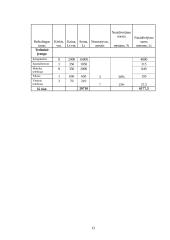 Verslo planas: geologiniai-geodeziniai gruntų tyrimai IĮ "Gruntolita" 13 puslapis