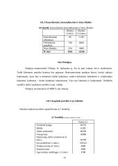 Verslo planas: geologiniai-geodeziniai gruntų tyrimai IĮ "Gruntolita" 15 puslapis