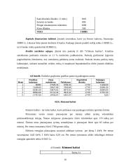 Verslo planas: geologiniai-geodeziniai gruntų tyrimai IĮ "Gruntolita" 16 puslapis