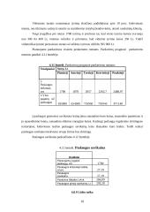 Verslo planas: geologiniai-geodeziniai gruntų tyrimai IĮ "Gruntolita" 18 puslapis