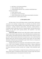 Verslo planas: geologiniai-geodeziniai gruntų tyrimai IĮ "Gruntolita" 3 puslapis