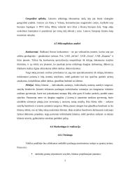 Verslo planas: geologiniai-geodeziniai gruntų tyrimai IĮ "Gruntolita" 5 puslapis