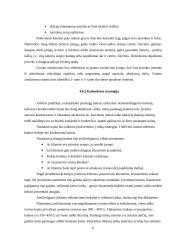 Verslo planas: geologiniai-geodeziniai gruntų tyrimai IĮ "Gruntolita" 6 puslapis