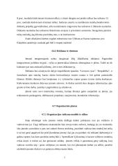 Verslo planas: geologiniai-geodeziniai gruntų tyrimai IĮ "Gruntolita" 7 puslapis