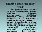 Verslo planas: grožio namai "Belleza" 2 puslapis