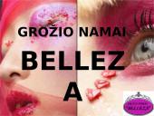 Verslo planas: grožio namai "Belleza" 11 puslapis
