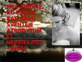 Verslo planas: grožio namai "Belleza" 14 puslapis