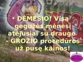 Verslo planas: grožio namai "Belleza" 18 puslapis