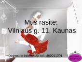 Verslo planas: grožio namai "Belleza" 19 puslapis