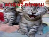 Verslo planas: grožio namai "Belleza" 20 puslapis