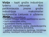 Verslo planas: grožio namai "Belleza" 3 puslapis