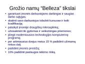 Verslo planas: grožio namai "Belleza" 4 puslapis