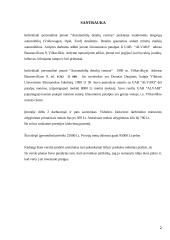 Verslo planas: IĮ "Automobilių detalių centras" 2 puslapis