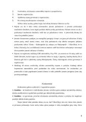 Verslo planas: IĮ "Automobilių detalių centras" 6 puslapis