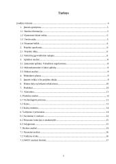 Verslo planas: IĮ "Šuniukų kirpykla" 2 puslapis