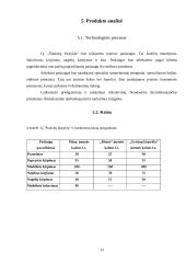 Verslo planas: IĮ "Šuniukų kirpykla" 12 puslapis