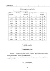 Verslo planas: IĮ "Šuniukų kirpykla" 16 puslapis