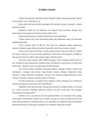 Verslo planas: IĮ "Šuniukų kirpykla" 4 puslapis