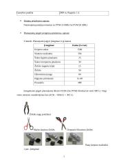 Verslo planas: IĮ "Šuniukų kirpykla" 7 puslapis